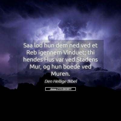 Picture 05 - Josua 2:15 DA1871 - Saa lod hun dem ned ved et Reb igennem Vinduet; - Bible Verse Picture