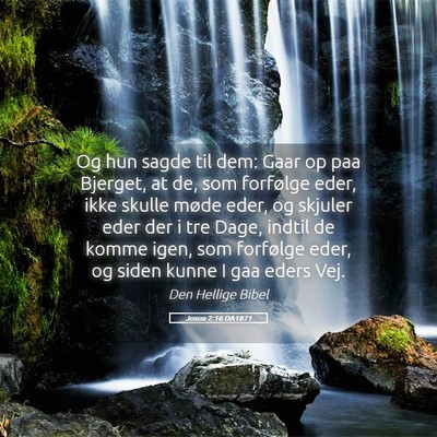 Picture 05 - Josua 2:16 DA1871 - Og hun sagde til dem: Gaar op paa Bjerget, at de, - Bible Verse Picture