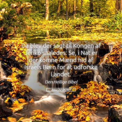Picture 05 - Josua 2:2 DA1871 - Da blev der sagt til Kongen af Jeriko saaledes: - Bible Verse Picture