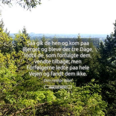 Picture 05 - Josua 2:22 DA1871 - Saa gik de hen og kom paa Bjerget og bleve der - Bible Verse Picture