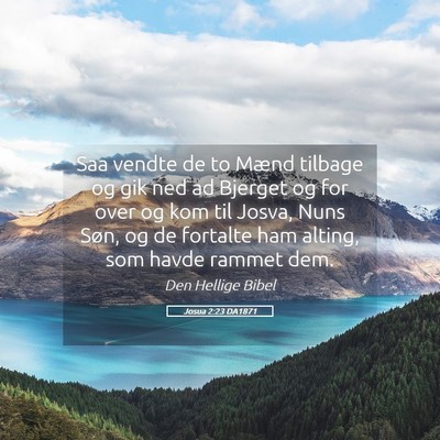 Picture 05 - Josua 2:23 DA1871 - Saa vendte de to Mænd tilbage og gik ned ad - Bible Verse Picture