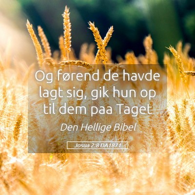 Picture 05 - Josua 2:8 DA1871 - Og førend de havde lagt sig, gik hun op til dem - Bible Verse Picture