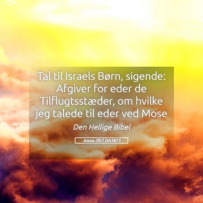Picture 05 - Josua 20:2 DA1871 - Tal til Israels Børn, sigende: Afgiver for eder - Bible Verse Picture