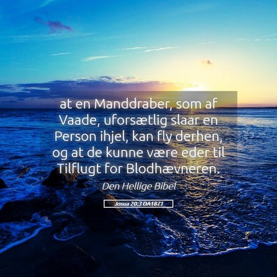 Picture 05 - Josua 20:3 DA1871 - at en Manddraber, som af Vaade, uforsætlig slaar - Bible Verse Picture