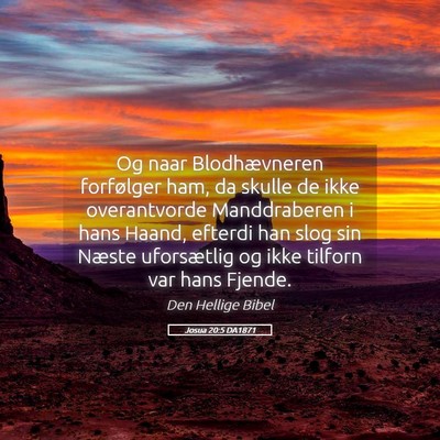 Picture 05 - Josua 20:5 DA1871 - Og naar Blodhævneren forfølger ham, da skulle - Bible Verse Picture