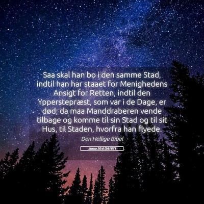 Picture 05 - Josua 20:6 DA1871 - Saa skal han bo i den samme Stad, indtil han har - Bible Verse Picture