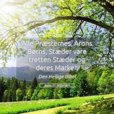 Picture 05 - Josua 21:19 DA1871 - Alle Præsternes, Arons Børns, Stæder vare - Bible Verse Picture