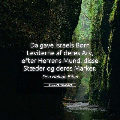 Picture 05 - Josua 21:3 DA1871 - Da gave Israels Børn Leviterne af deres Arv, - Bible Verse Picture