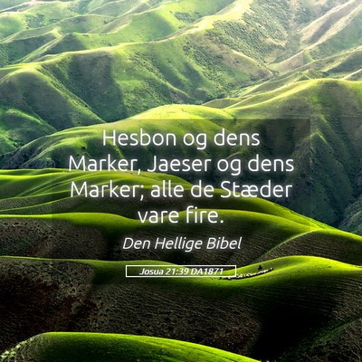 Picture 05 - Josua 21:39 DA1871 - Hesbon og dens Marker, Jaeser og dens Marker; - Bible Verse Picture