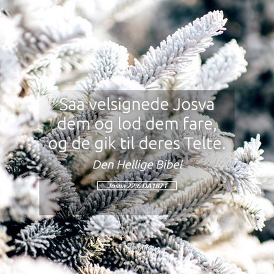 Picture 05 - Josua 22:6 DA1871 - Saa velsignede Josva dem og lod dem fare, og de - Bible Verse Picture