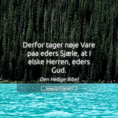 Picture 05 - Josua 23:11 DA1871 - Derfor tager nøje Vare paa eders Sjæle, at I - Bible Verse Picture