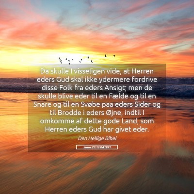Picture 05 - Josua 23:13 DA1871 - Da skulle I visseligen vide, at Herren eders Gud - Bible Verse Picture