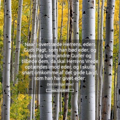 Picture 05 - Josua 23:16 DA1871 - Naar I overtræde Herrens, eders Guds Pagt, som - Bible Verse Picture