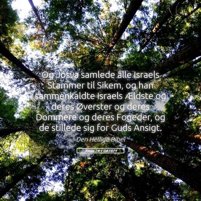 Picture 05 - Josua 24:1 DA1871 - Og Josva samlede alle Israels Stammer til Sikem, - Bible Verse Picture