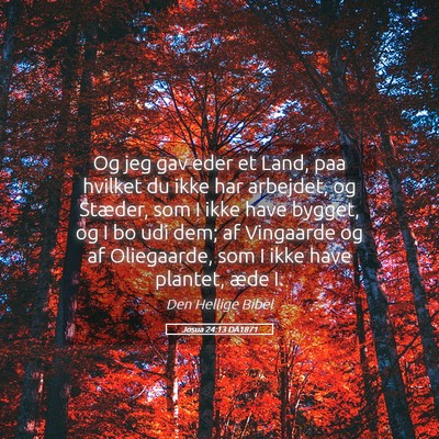 Picture 05 - Josua 24:13 DA1871 - Og jeg gav eder et Land, paa hvilket du ikke har - Bible Verse Picture