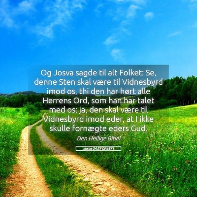 Picture 05 - Josua 24:27 DA1871 - Og Josva sagde til alt Folket: Se, denne Sten - Bible Verse Picture