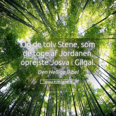 Picture 05 - Josua 4:20 DA1871 - Og de tolv Stene, som de toge af Jordanen, - Bible Verse Picture