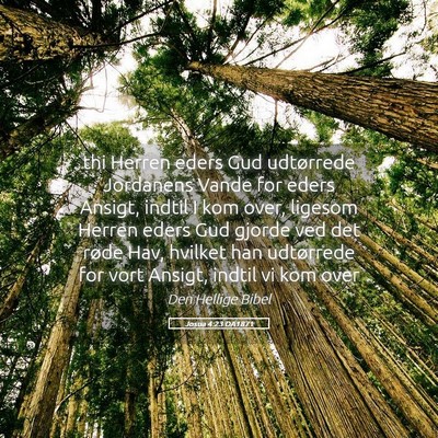 Picture 05 - Josua 4:23 DA1871 - thi Herren eders Gud udtørrede Jordanens Vande - Bible Verse Picture