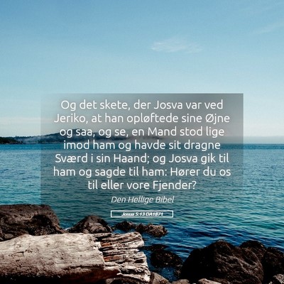 Picture 05 - Josua 5:13 DA1871 - Og det skete, der Josva var ved Jeriko, at han - Bible Verse Picture