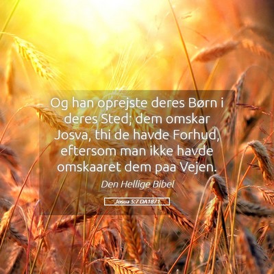 Picture 05 - Josua 5:7 DA1871 - Og han oprejste deres Børn i deres Sted; dem - Bible Verse Picture