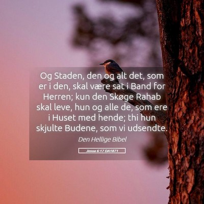 Picture 05 - Josua 6:17 DA1871 - Og Staden, den og alt det, som er i den, skal - Bible Verse Picture