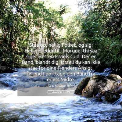 Picture 05 - Josua 7:13 DA1871 - Staa op, hellig Folket, og sig: Helliger eder til - Bible Verse Picture