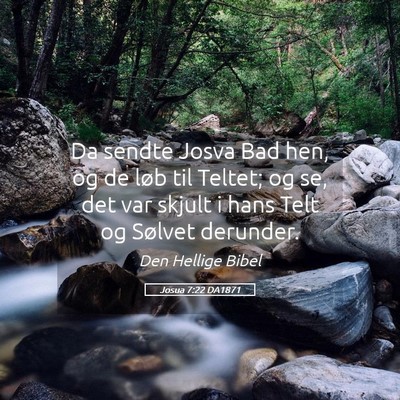 Picture 05 - Josua 7:22 DA1871 - Da sendte Josva Bad hen, og de løb til Teltet; - Bible Verse Picture