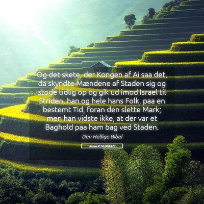 Picture 05 - Josua 8:14 DA1871 - Og det skete, der Kongen af Ai saa det, da - Bible Verse Picture