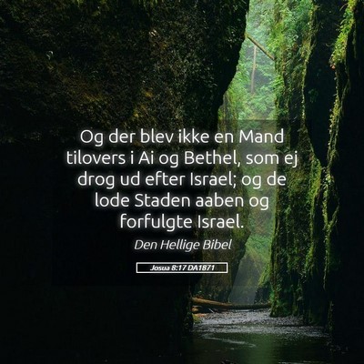 Picture 05 - Josua 8:17 DA1871 - Og der blev ikke en Mand tilovers i Ai og Bethel, - Bible Verse Picture