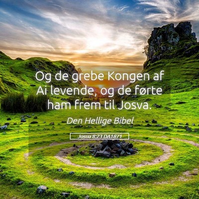 Picture 05 - Josua 8:23 DA1871 - Og de grebe Kongen af Ai levende, og de førte - Bible Verse Picture