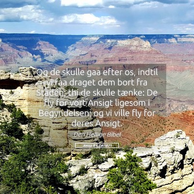 Picture 05 - Josua 8:6 DA1871 - Og de skulle gaa efter os, indtil vi faa draget - Bible Verse Picture