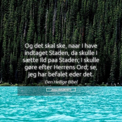 Picture 05 - Josua 8:8 DA1871 - Og det skal ske, naar I have indtaget Staden, da - Bible Verse Picture