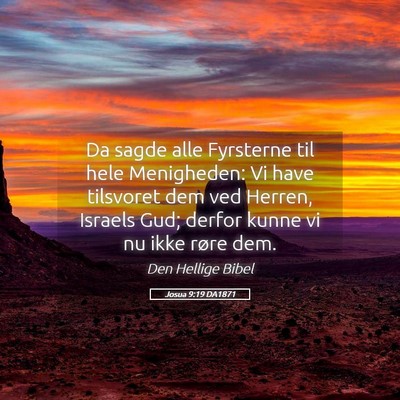 Picture 05 - Josua 9:19 DA1871 - Da sagde alle Fyrsterne til hele Menigheden: Vi - Bible Verse Picture
