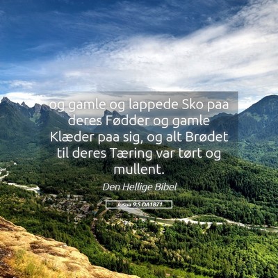 Picture 05 - Josua 9:5 DA1871 - og gamle og lappede Sko paa deres Fødder og - Bible Verse Picture