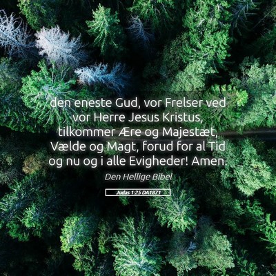 Picture 05 - Judas 1:25 DA1871 - den eneste Gud, vor Frelser ved vor Herre Jesus - Bible Verse Picture