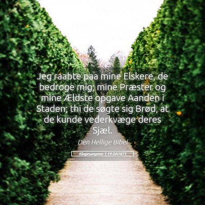 Picture 05 - Klagesangene 1:19 DA1871 - Jeg raabte paa mine Elskere, de bedroge mig; mine - Bible Verse Picture