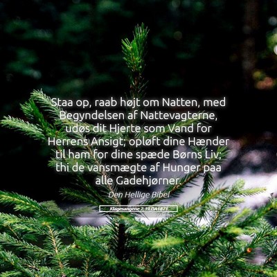 Picture 05 - Klagesangene 2:19 DA1871 - Staa op, raab højt om Natten, med Begyndelsen af - Bible Verse Picture