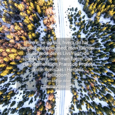 Picture 05 - Klagesangene 2:20 DA1871 - Herre! se og sku, hvem du har handlet saaledes - Bible Verse Picture