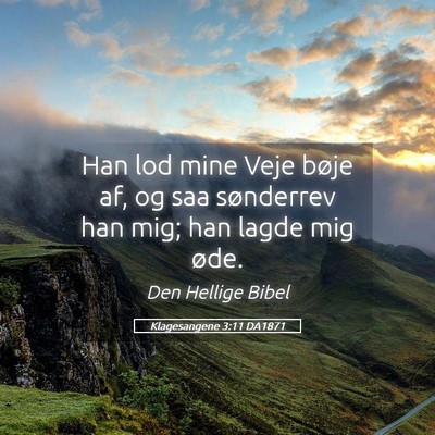 Picture 05 - Klagesangene 3:11 DA1871 - Han lod mine Veje bøje af, og saa sønderrev han - Bible Verse Picture