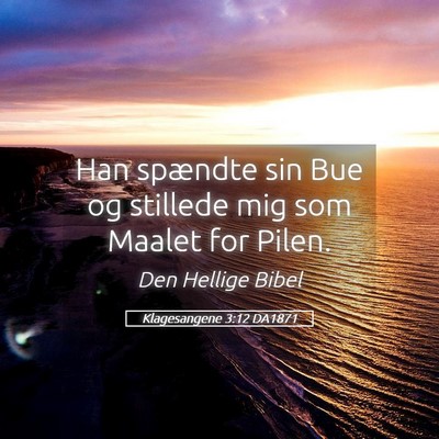 Picture 05 - Klagesangene 3:12 DA1871 - Han spændte sin Bue og stillede mig som Maalet - Bible Verse Picture