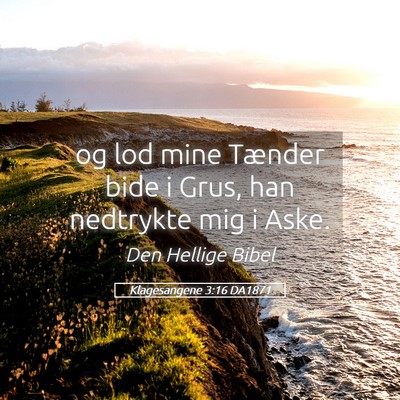 Picture 05 - Klagesangene 3:16 DA1871 - og lod mine Tænder bide i Grus, han nedtrykte - Bible Verse Picture