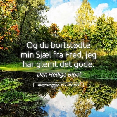 Picture 05 - Klagesangene 3:17 DA1871 - Og du bortstødte min Sjæl fra Fred, jeg har - Bible Verse Picture