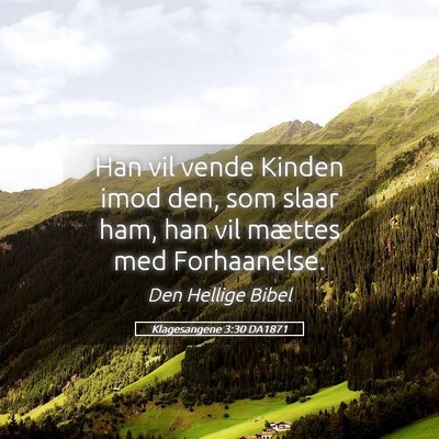 Picture 05 - Klagesangene 3:30 DA1871 - Han vil vende Kinden imod den, som slaar ham, han - Bible Verse Picture