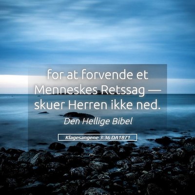 Picture 05 - Klagesangene 3:36 DA1871 - for at forvende et Menneskes Retssag — skuer - Bible Verse Picture