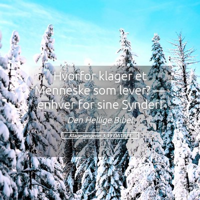 Picture 05 - Klagesangene 3:39 DA1871 - Hvorfor klager et Menneske som lever? — enhver - Bible Verse Picture