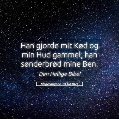 Picture 05 - Klagesangene 3:4 DA1871 - Han gjorde mit Kød og min Hud gammel; han - Bible Verse Picture