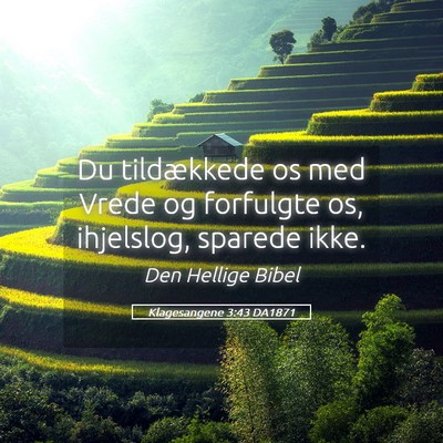 Picture 05 - Klagesangene 3:43 DA1871 - Du tildækkede os med Vrede og forfulgte os, - Bible Verse Picture