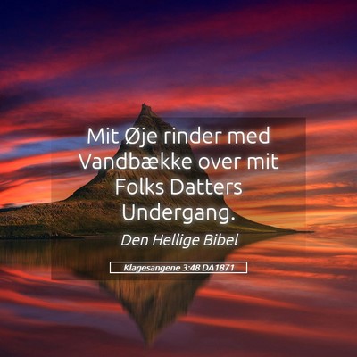 Picture 05 - Klagesangene 3:48 DA1871 - Mit Øje rinder med Vandbække over mit Folks - Bible Verse Picture