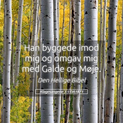 Picture 05 - Klagesangene 3:5 DA1871 - Han byggede imod mig og omgav mig med Galde og - Bible Verse Picture