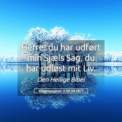 Picture 05 - Klagesangene 3:58 DA1871 - Herre! du har udført min Sjæls Sag, du har - Bible Verse Picture